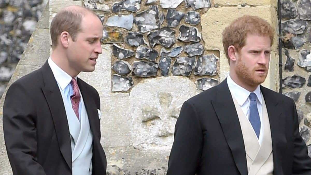 Prince William and Prince Harry walk together in suits