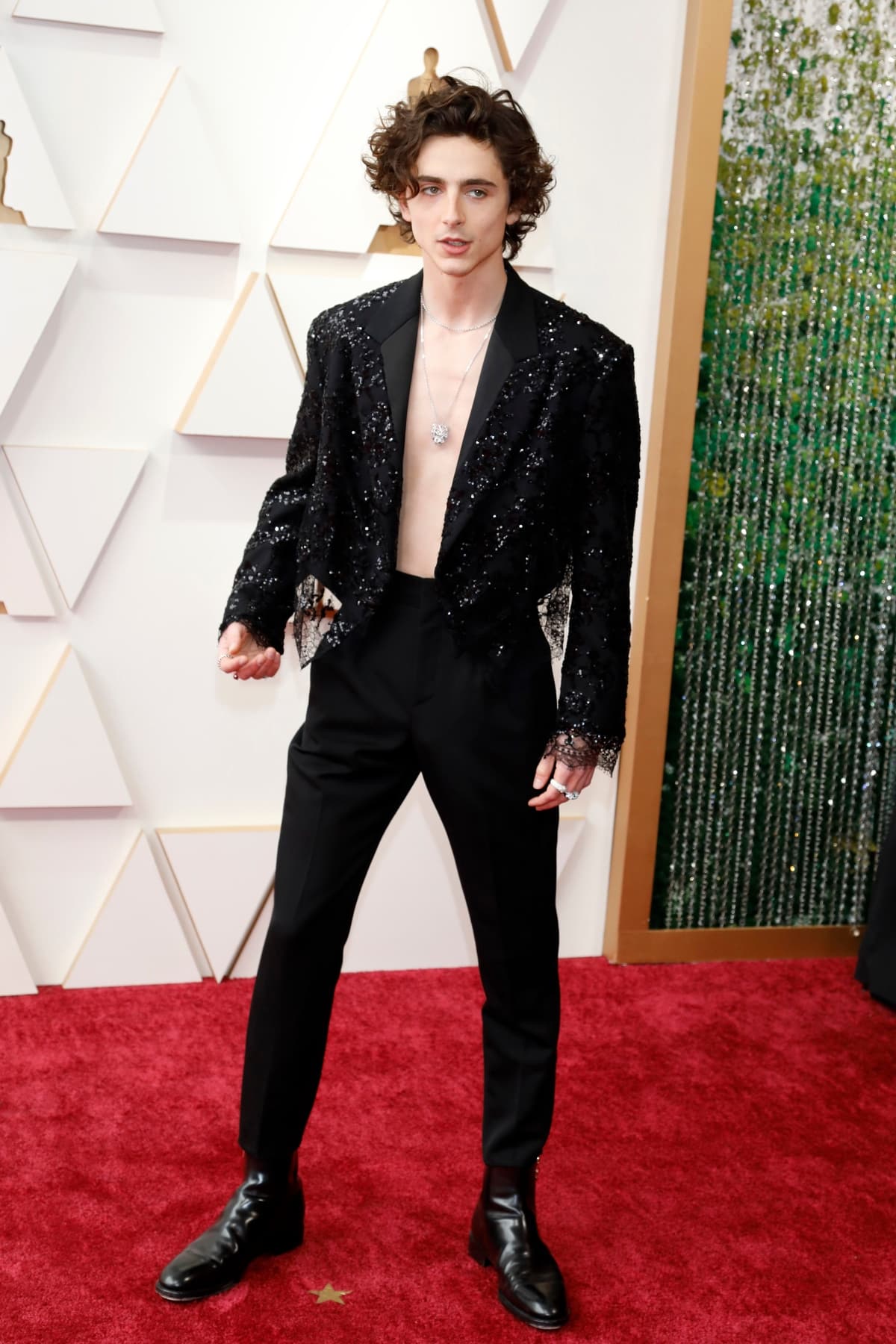 Timothee Chalamet shirtless at the Oscars