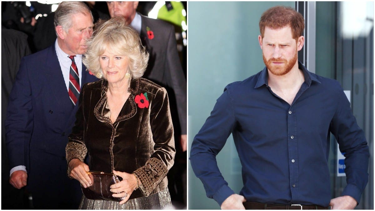 Camilla Parker Bowles and Prince Harry