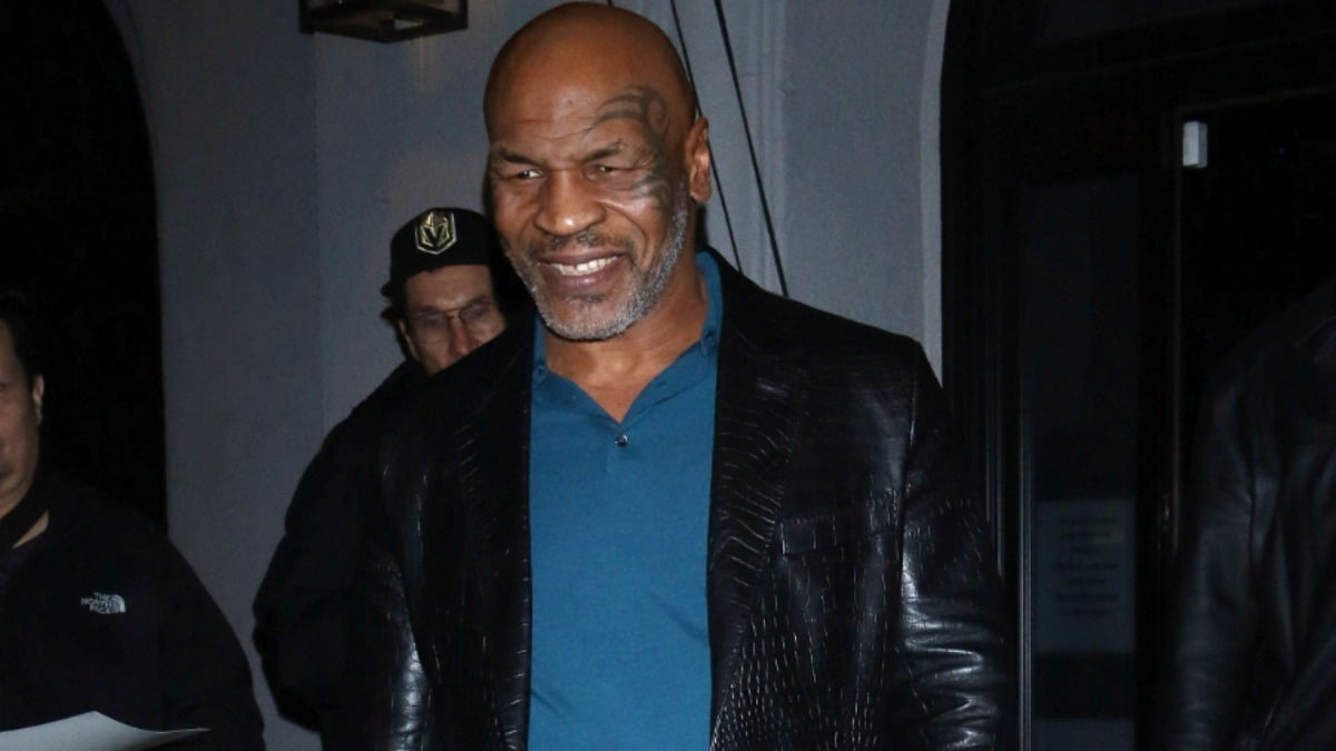 Mike Tyson plane fight