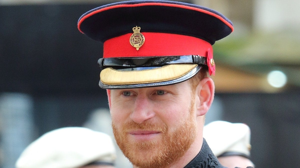 Prince Harry accused of meeting Queen for publicity