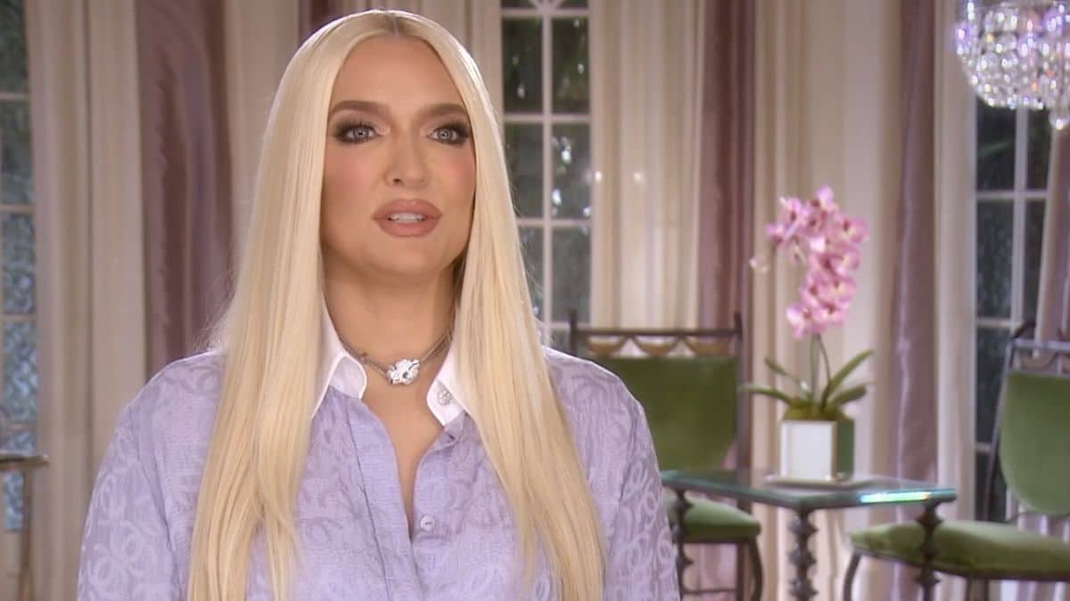 The Real Housewives of Beverly Hills star Erika Jayne is back on the market looking for good sex.