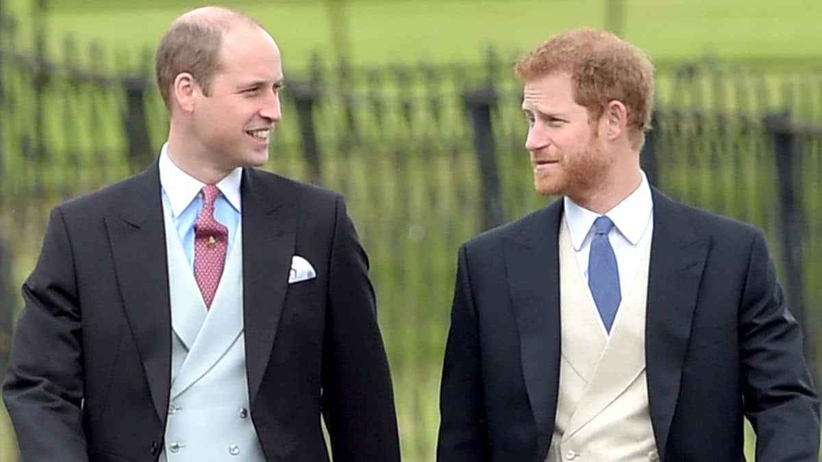 Prince William and Prince Harry walking together in suits