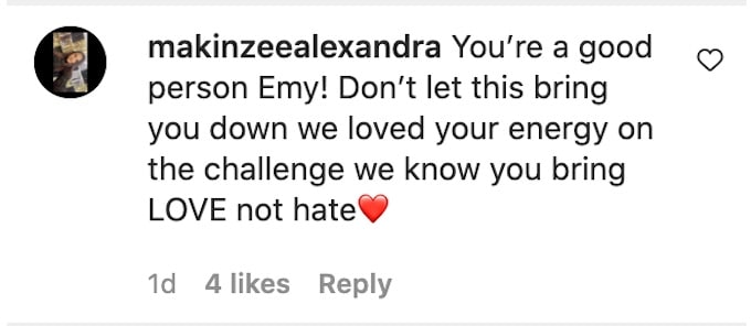 fan comments on emy alupei instagram post