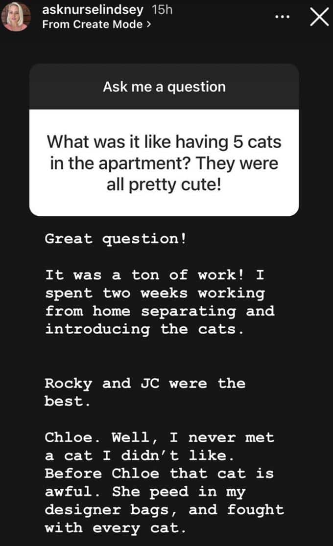 Lindsey Georgoulis' Instagram story