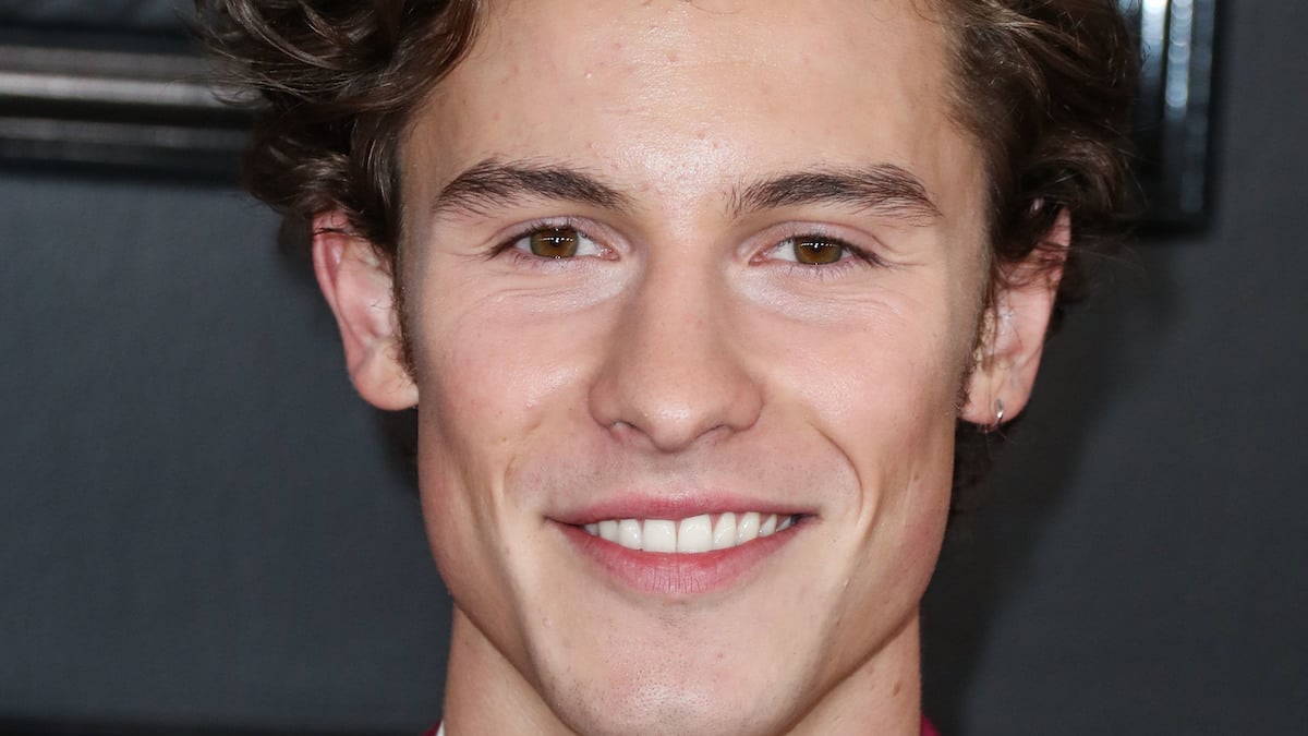 Shawn Mendes reveals off toned abs whereas having fun with the seashore