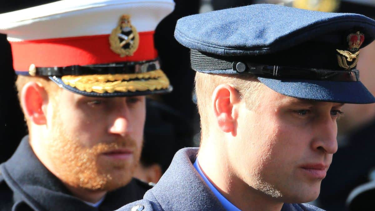 Prince William and Prince Harry in uniform