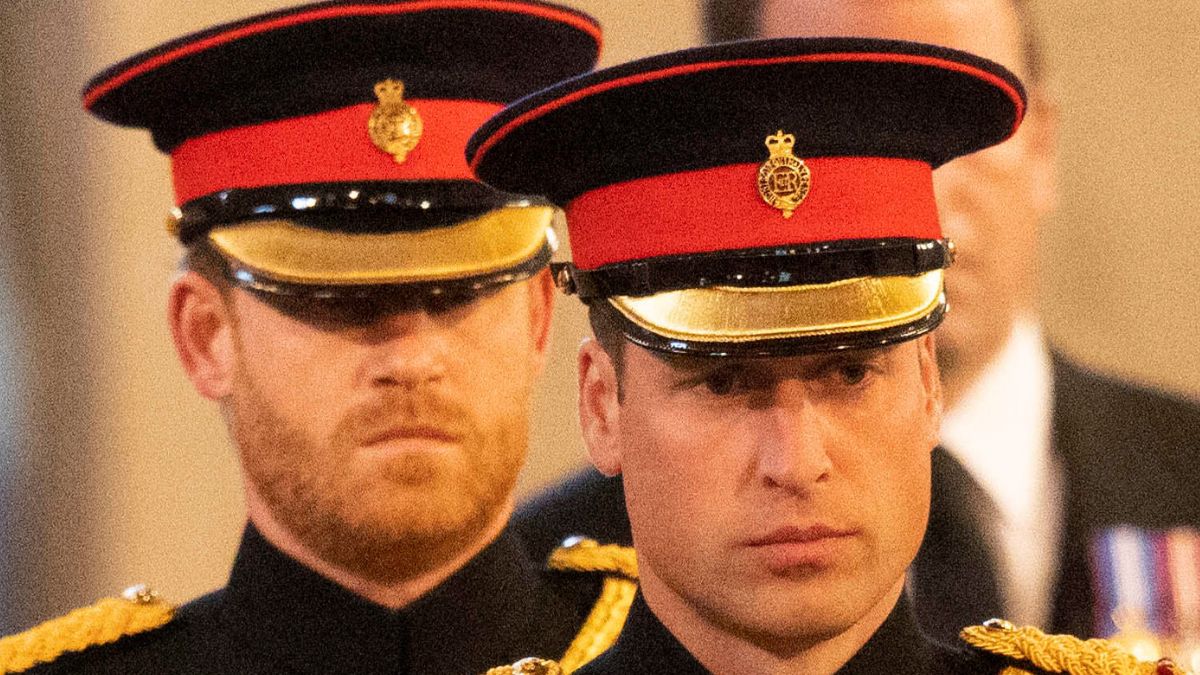 Prince Harry and Prince William in uniform