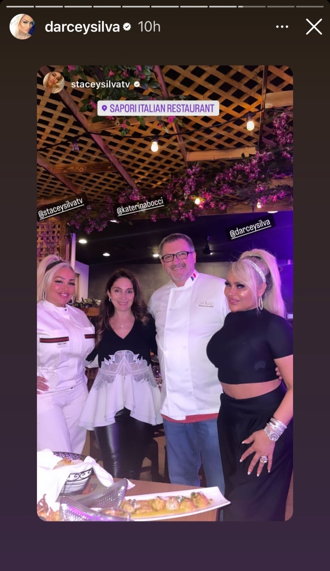 90 Day Fiance star Darcey Silva wears crop top for night out.