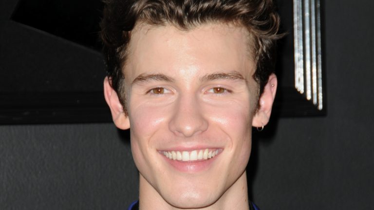 Shawn Mendes smiles for the camera