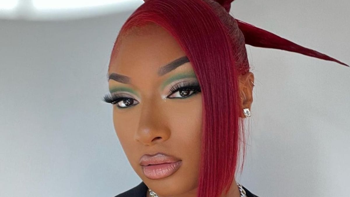 Megan Thee Stallion shows off her hairdo in a selfie