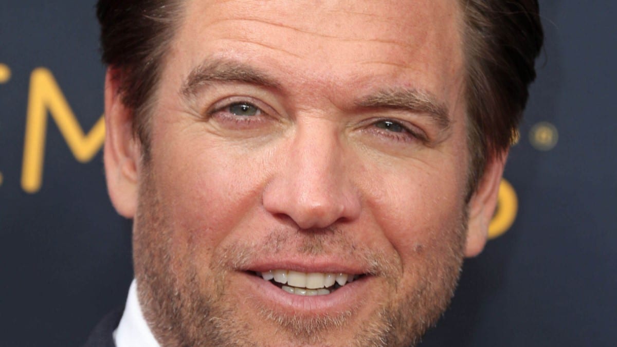 Michael Weatherly On Red Carpet