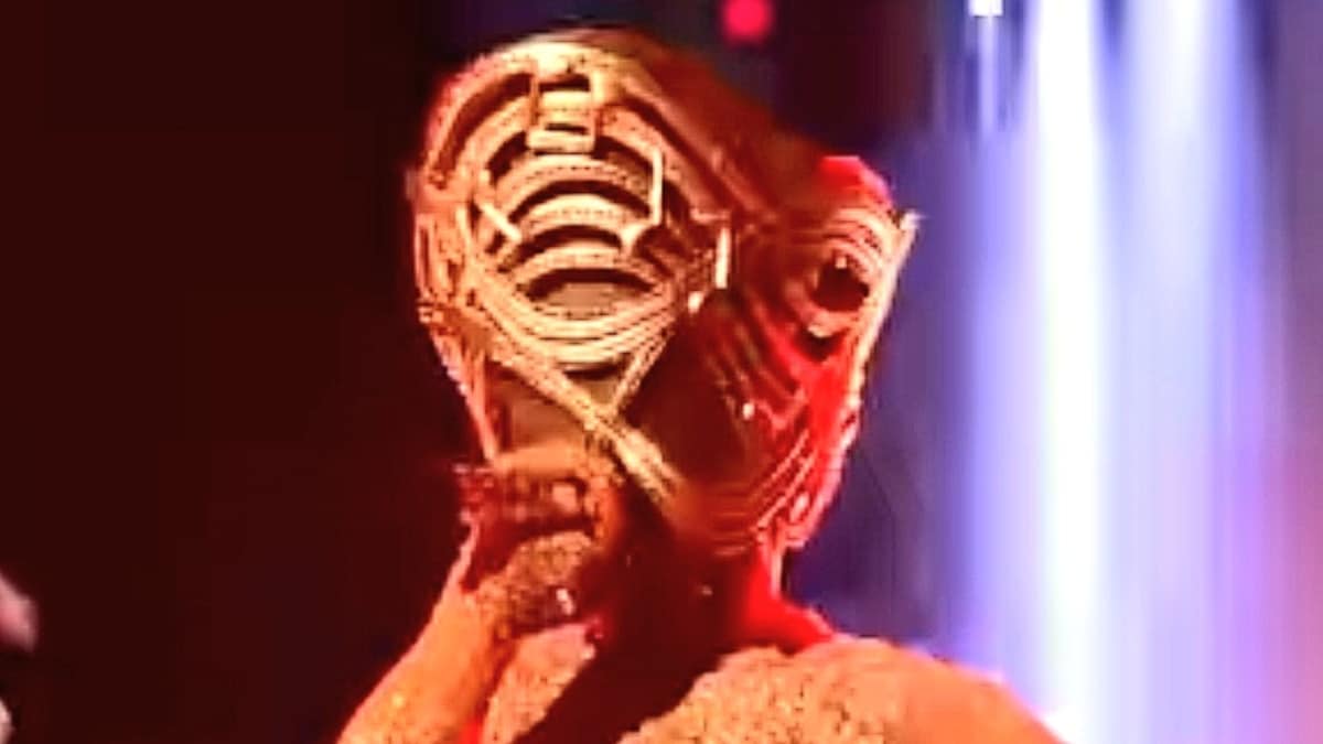 A close-up screen shot of Masked Singer contestant, Harp.