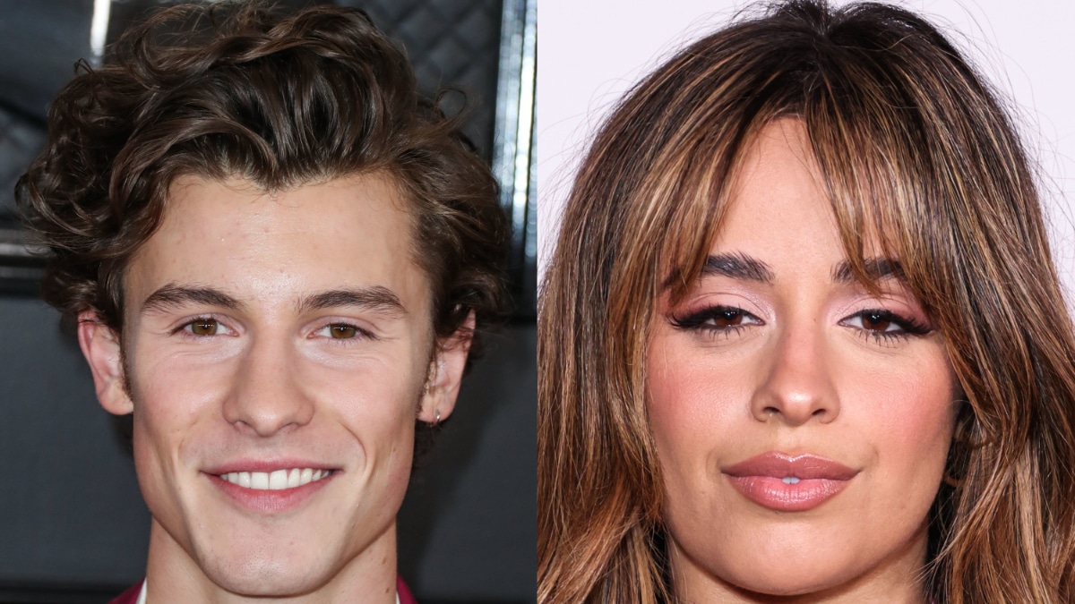 Shawn Mendes and Camilla Cabello on the red carpet