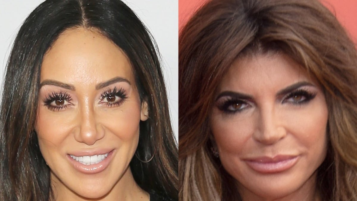 Melissa Gorga and Teresa Giudice on the red carpet.