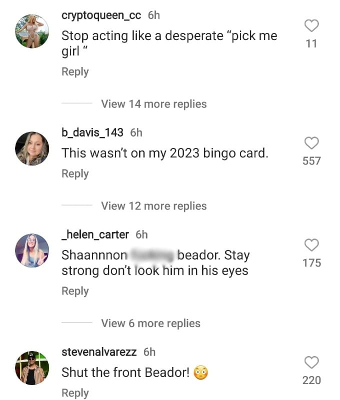 Comments from Shannon Beador's Instagram