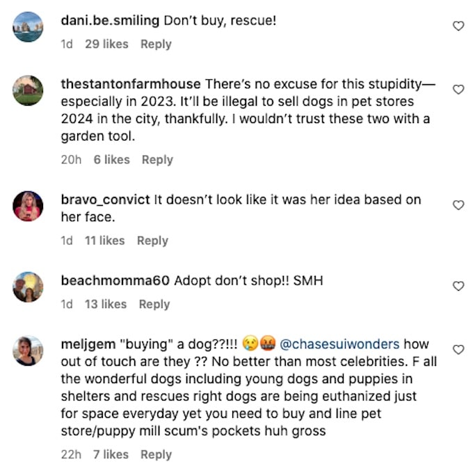 commenters blast pete davidson and girlfriend for dog purchase