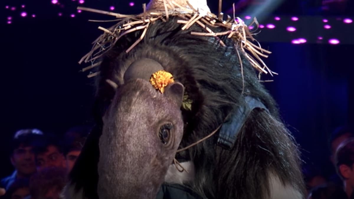 the anteater during the masked singer season 10