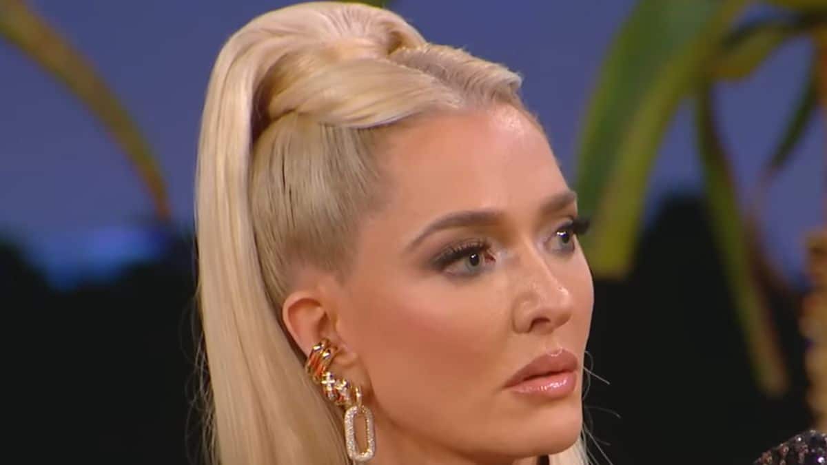 RHOBH star Erika Jayne reunion screenshot